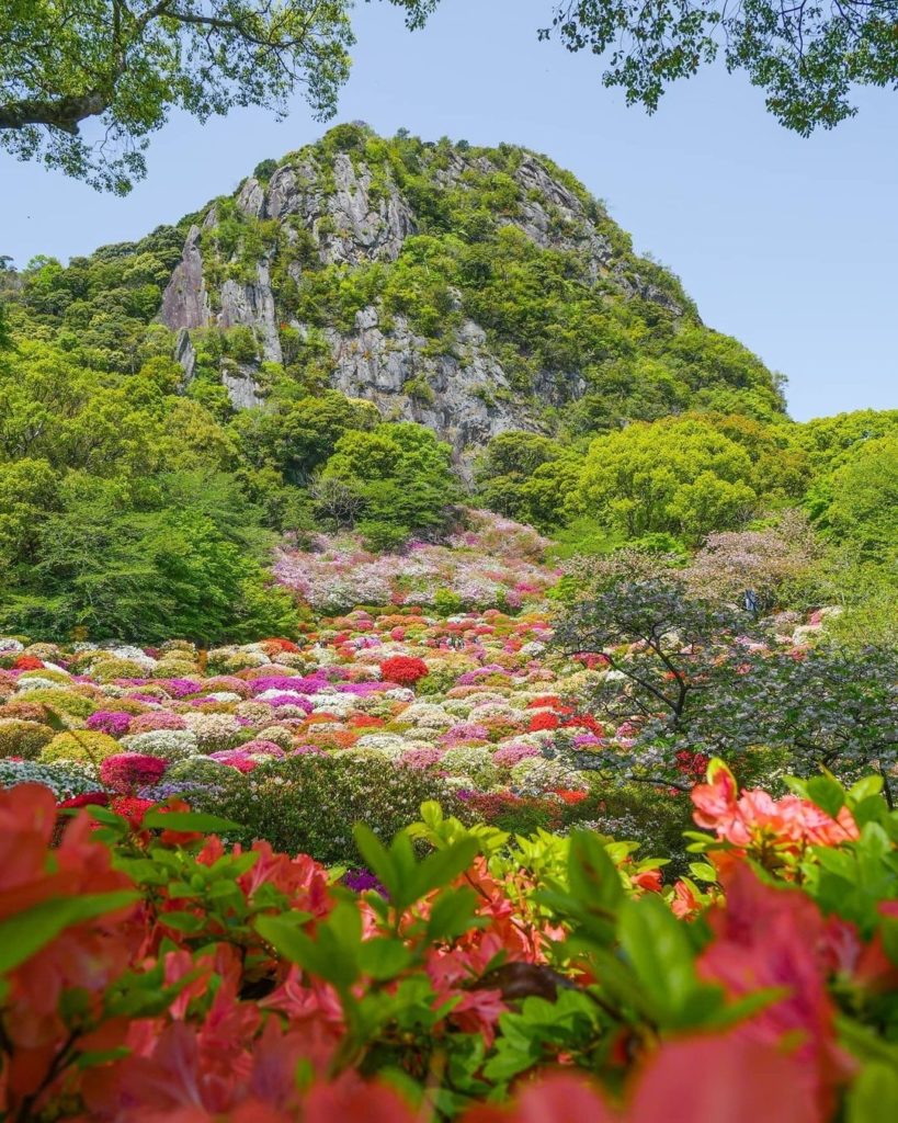 Visit Japan: Flower power is alive and well at Mifuneyama Rakuen! β
β
This flower park – fam… Flower power is alive and well at Mifuneyama Rakuen! β
β
This flower park - fam...