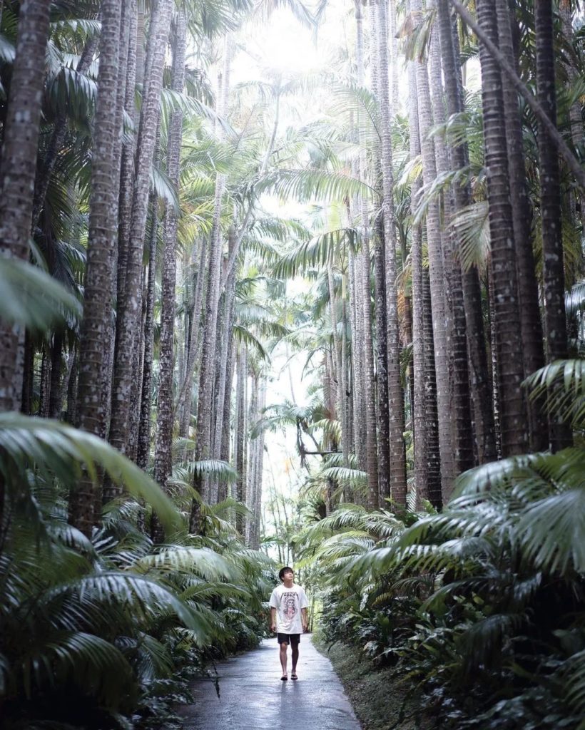 This tropical wonderland can be found at Okinawa's Southeast Botanical Garden. F...