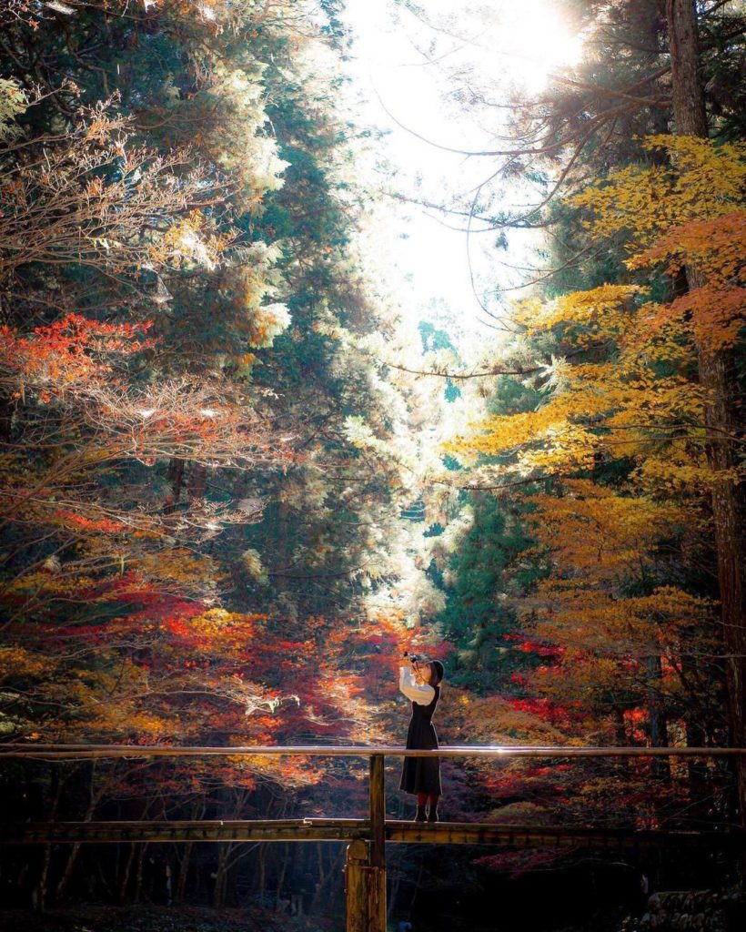 The grounds of Okuni Jinja Shrine has an atmosphere of perfect harmony between h...