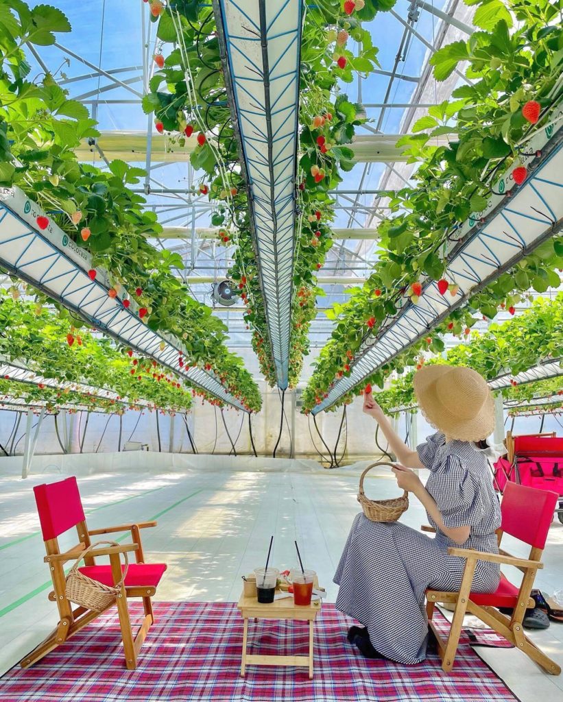 Opened in 2020, Greenarium Awajishima is packed with fun new experiences. Savor ...