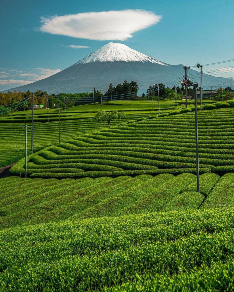 Japan Airline: .
新茶が芽吹く富士市の絶景
#富士山 の上に現れた雲が逆さ富士のよう
#PicturePerfectMay A scene from Fuji city, … .
新茶が芽吹く富士市の絶景
#富士山 の上に現れた雲が逆さ富士のよう
#PicturePerfectMay A scene from Fuji city, ...