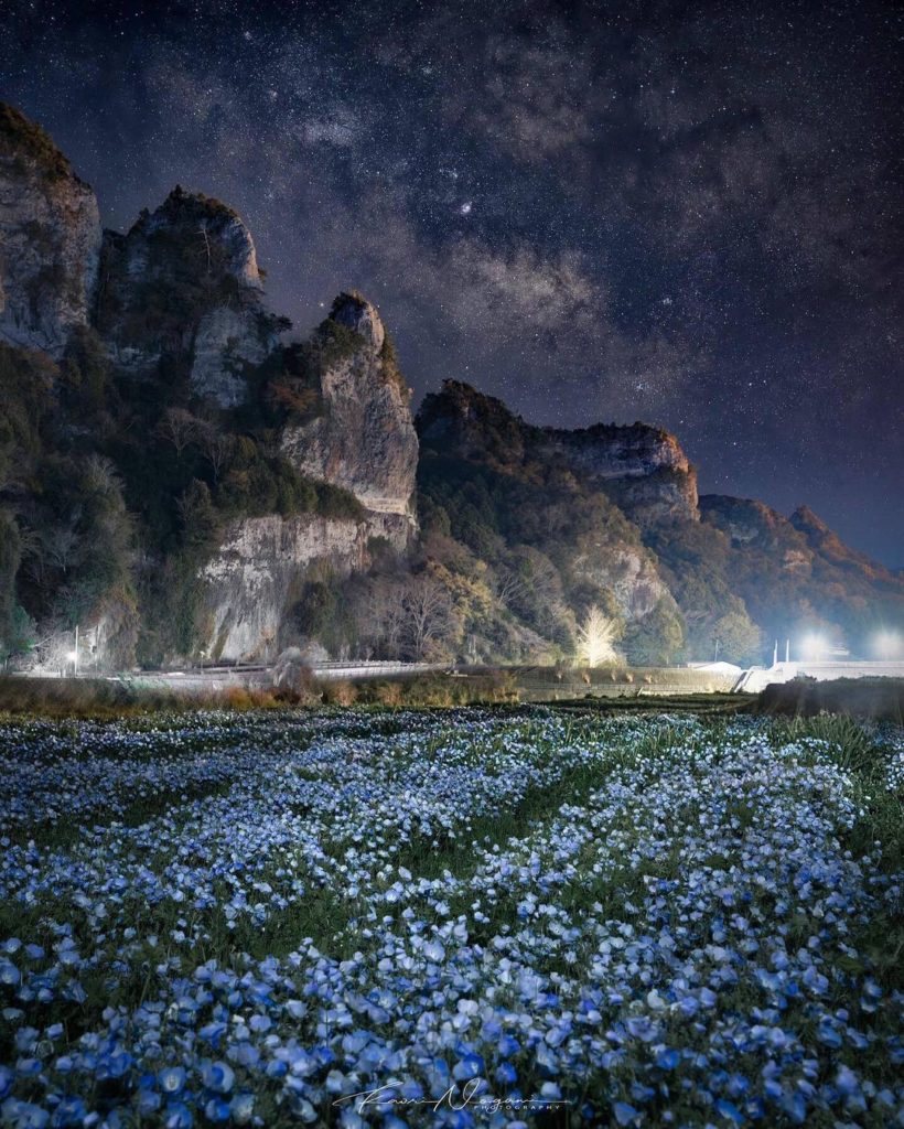 Visit Japan: Baby Blue Eyes bloom throughout the rice paddies against a backdrop of cliffs at… Baby Blue Eyes bloom throughout the rice paddies against a backdrop of cliffs at...