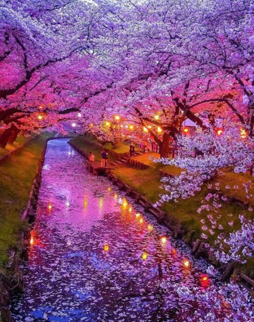 Hikawa Shrine grounds in Kawagoe, Japan