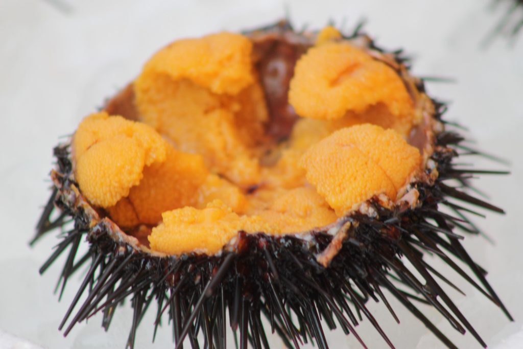 Uni eaten from the shell at the Hakodate wet market.