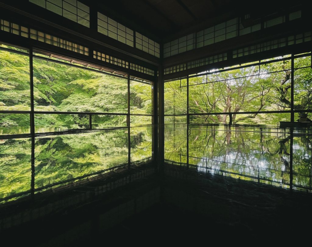 Ruikion (Tea Room) Insta: perryrphoto