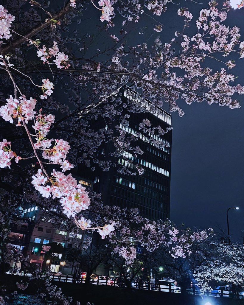 someday somewhere