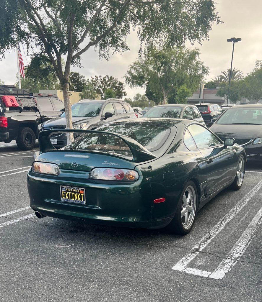 Nice Supra n/a