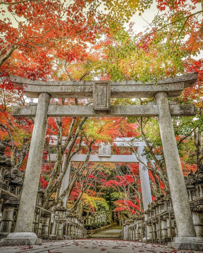 Kashima Shrine