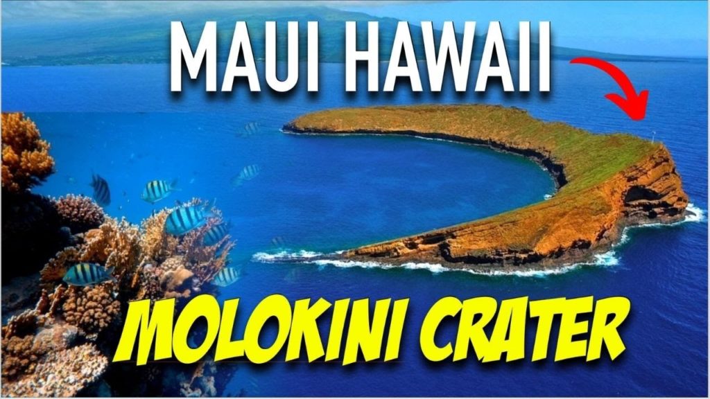 Molokini Crater Snorkeling in Maui Hawaii