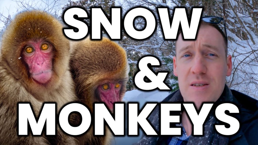 Japan's BEST Winter Travel | Snow Monkeys of Nagano Japan's BEST Winter Travel | Snow Monkeys of Nagano