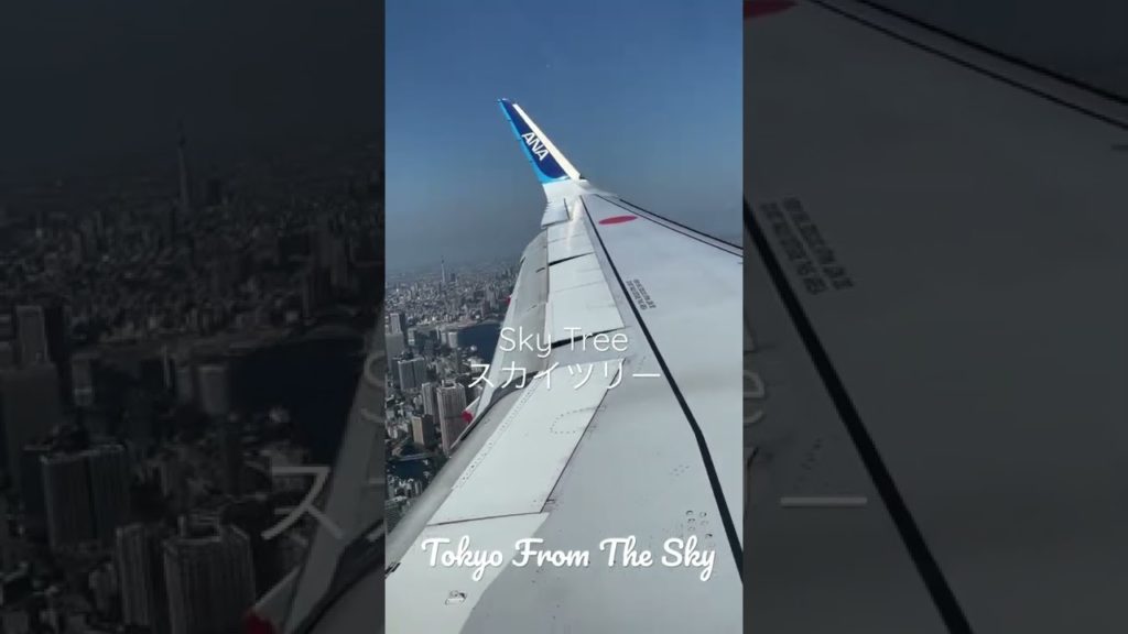 Fly with me over Tokyo!
