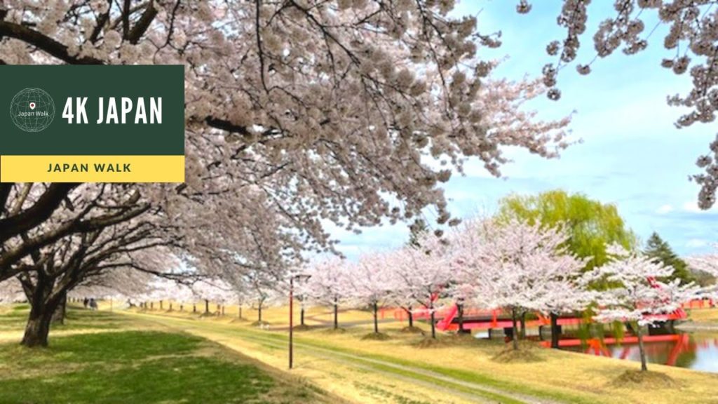 4K Japan Walk –  NIIGATA NAGAOKA Neighborhood Walking Tour | 新潟長岡 2022 4K Japan Walk -  NIIGATA NAGAOKA Neighborhood Walking Tour | 新潟長岡 2022