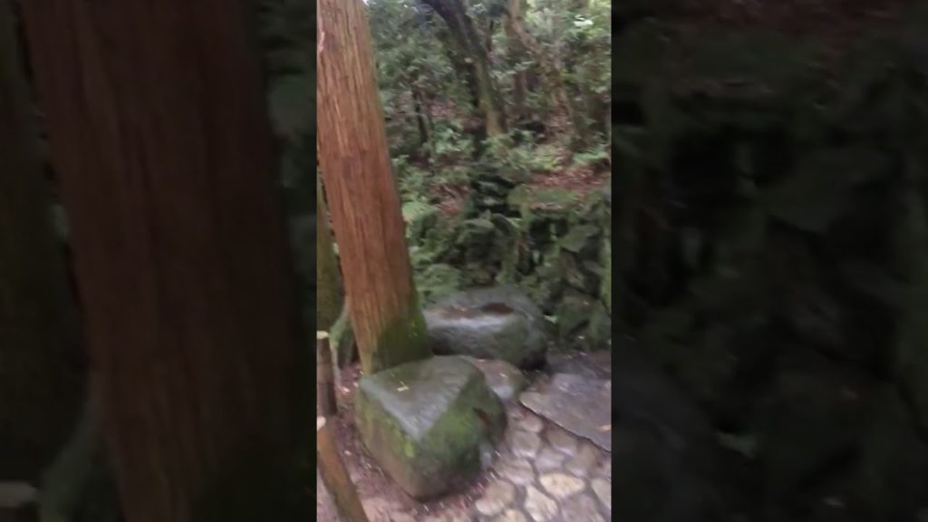 Touring Japan – Travelling in Japan – One Piece Tower, Japan Street Food, Tokyo Museum Touring Japan - Travelling in Japan - One Piece Tower, Japan Street Food, Tokyo Museum