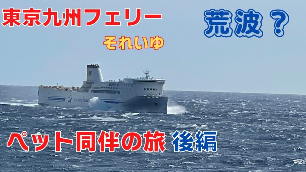 【東京九州フェリー・ペット同伴で往復する船旅】夫婦とフレンチブルドッグのあもと乗船するシリーズ第2回目です!! 【東京九州フェリー・ペット同伴で往復する船旅】夫婦とフレンチブルドッグのあもと乗船するシリーズ第2回目です!!