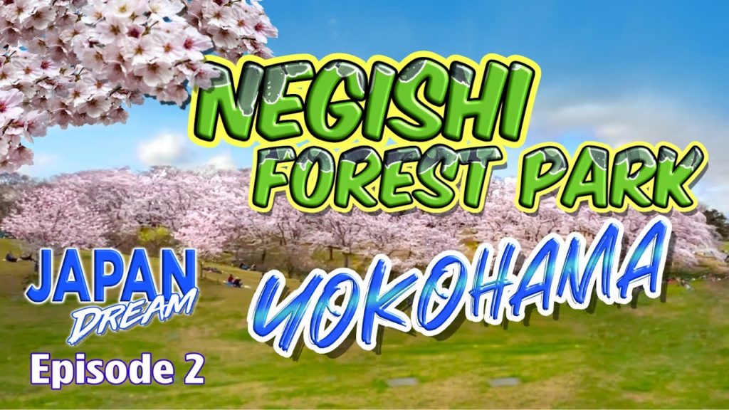 Yokohama Sakura | Japan Dream – Episode 2 Yokohama Sakura | Japan Dream - Episode 2