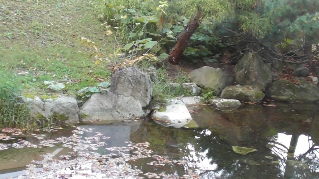 北海道・新富良野プリンスホテル、『炭焼処 きたぐに』からの眺め☆20211010