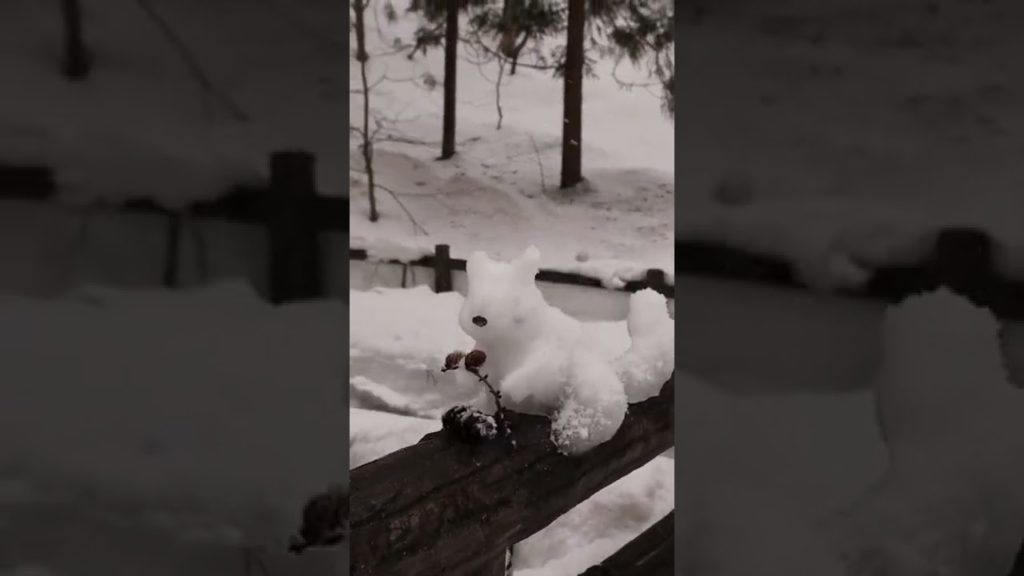 Snowy🐿️found #shortsyoutube  #shorts #travelshorts #travel #japantravel #japan #hokkaido #japanlife