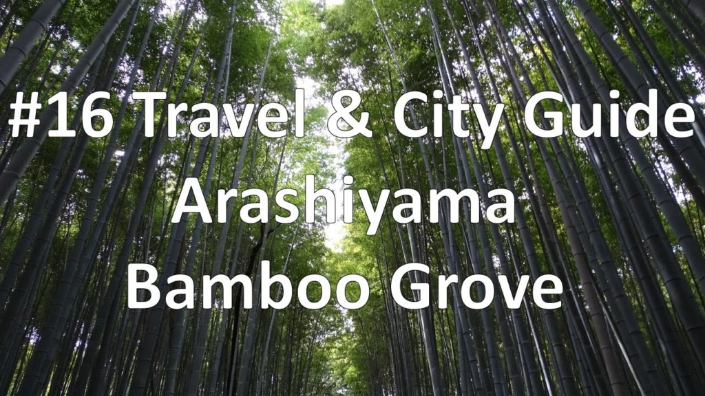 Episode 16 - Arashiyama Bamboo Grove  | Kyoto (Travel & City Guide)