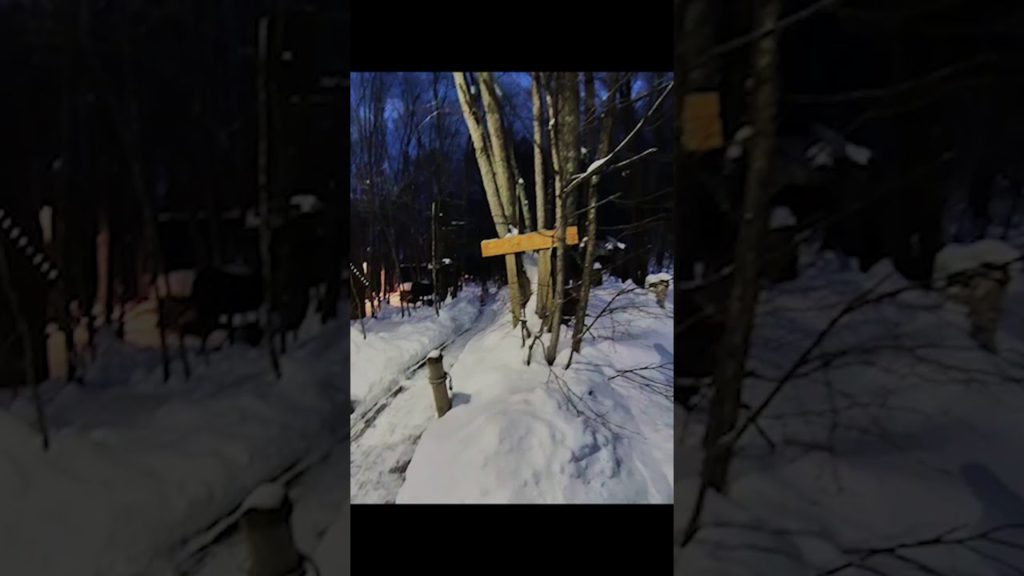 #Shorts insta360 ONE X2-Furano-Ningle Terrace-富良野ニングルテラス-Hokkaido [Winter tourist destination]