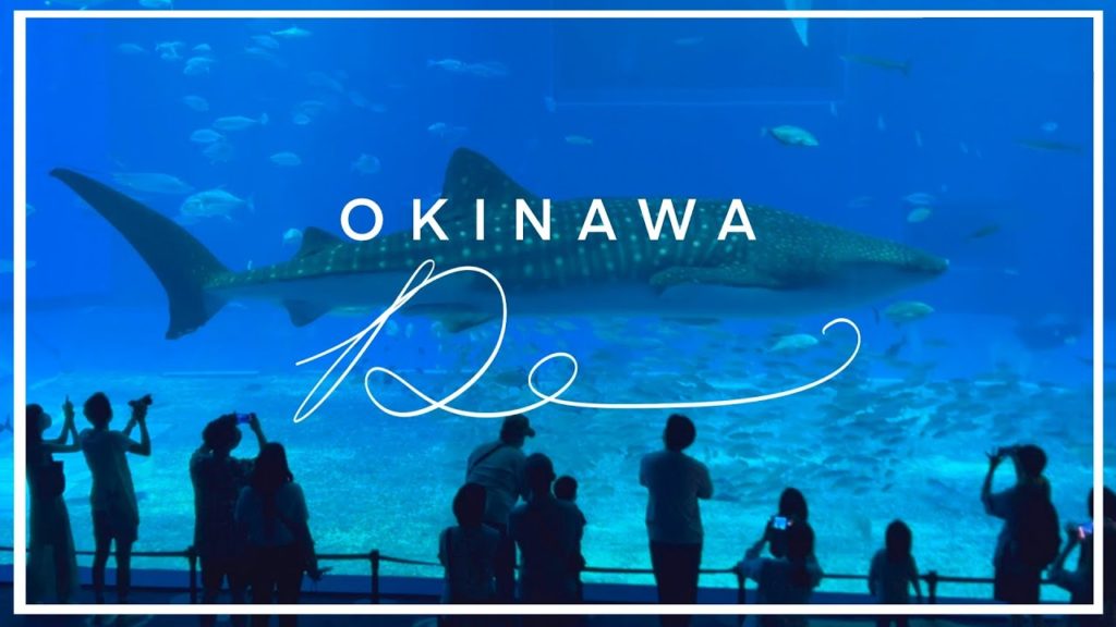 ๐์คํค๋์์ฌํ – 2ํธ โด์คํค๋์ ๋ฐ๋ค ์ถ์ฒ |  ๐์ธ๋ผ์ฐ๋ฏธ ์์กฑ๊ดใ
ฃโ๏ธFLAP COFFEEใ
ฃ๐์ฝ์ฐํค๋น์นใ
ฃ์ธ์์ฝ๋น์น ๐์คํค๋์์ฌํ - 2ํธ โด์คํค๋์ ๋ฐ๋ค ์ถ์ฒ |  ๐์ธ๋ผ์ฐ๋ฏธ ์์กฑ๊ดใ
ฃโ๏ธFLAP COFFEEใ
ฃ๐์ฝ์ฐํค๋น์นใ
ฃ์ธ์์ฝ๋น์น