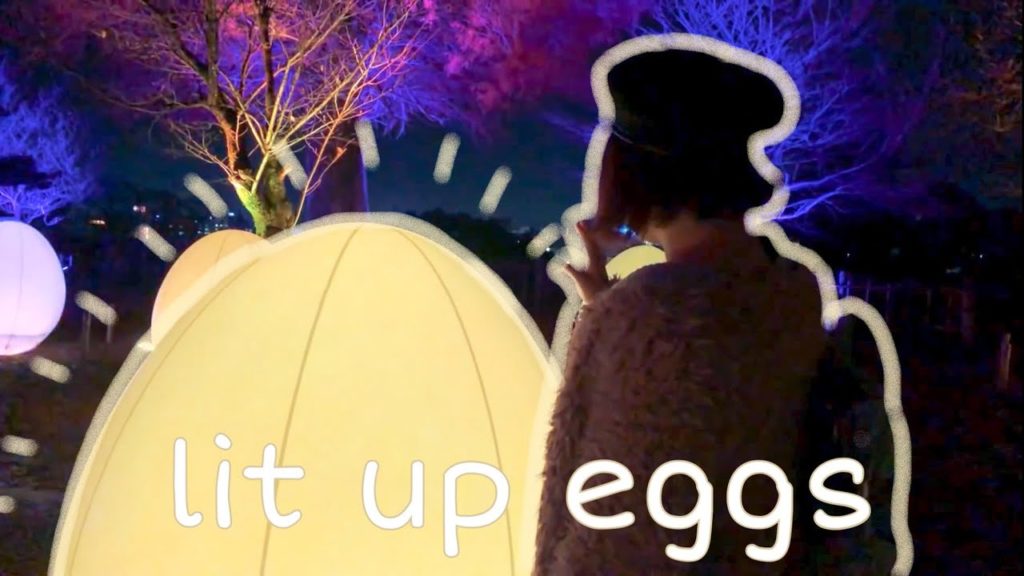 Kōchi prefecture: castle full of lit up eggs & life in the countryside