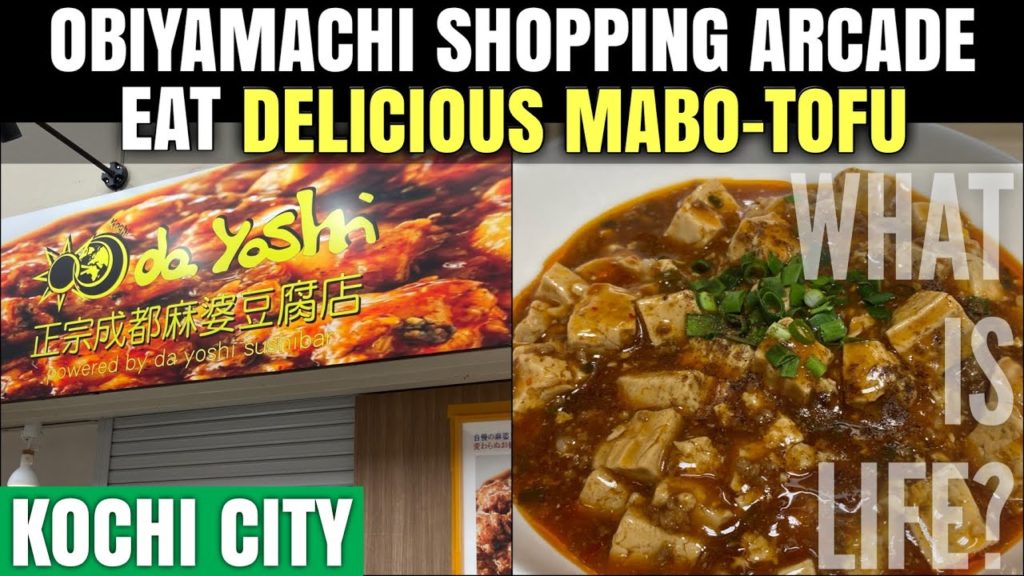 OBIYAMACHI SHOPPING ARCADE : EAT MABO-TOFU [KOCHI JAPAN VLOG] [STREET VIEW]