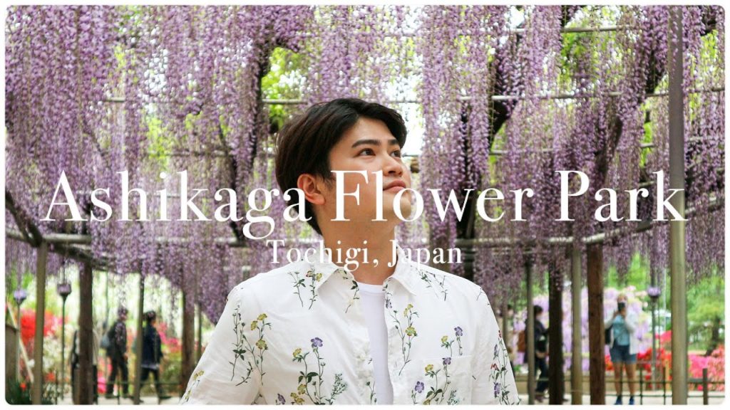 Ashikaga Flower Park | Wisteria • 藤 | あしかがフラワーパーク| Tochigi, Japan | VLOG 69