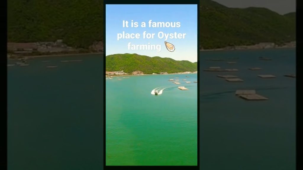 Oyster Farms in Hinase Japan amazing views and a beautiful ocean 🌊#shorts