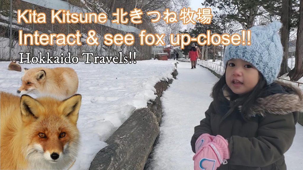 HOKKAIDO FOX VILLAGE 北きつね牧場 | HOKKAIDO LIFE | JAPAN LIFE | TRAVEL HOKKAIDO HOKKAIDO FOX VILLAGE 北きつね牧場 | HOKKAIDO LIFE | JAPAN LIFE | TRAVEL HOKKAIDO