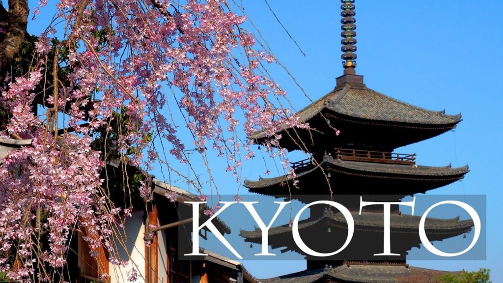 【Cherry blossoms】Weeping cherry-trees are in full blossom at KYOTO 2021.#4K #京都御所 #醍醐寺 #高台寺
