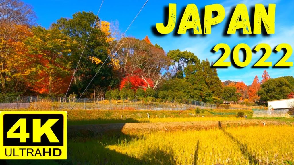 UHD 4K Walk Tour in Japanese Town – Ōtsu, Shiga Prefecture – Nature ASMR Walking Tour in Japan 2022 UHD 4K Walk Tour in Japanese Town - Ōtsu, Shiga Prefecture - Nature ASMR Walking Tour in Japan 2022