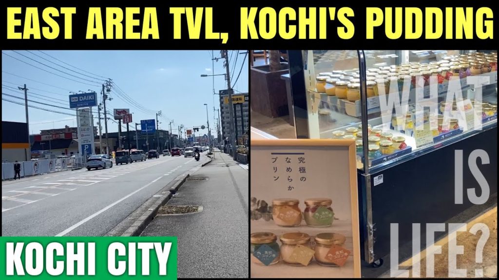 KOCHI CITY EAST AREA TRAVEL : EAT KOCHI'S PUDDING [KOCHI JAPAN VLOG] [STREET VIEW]