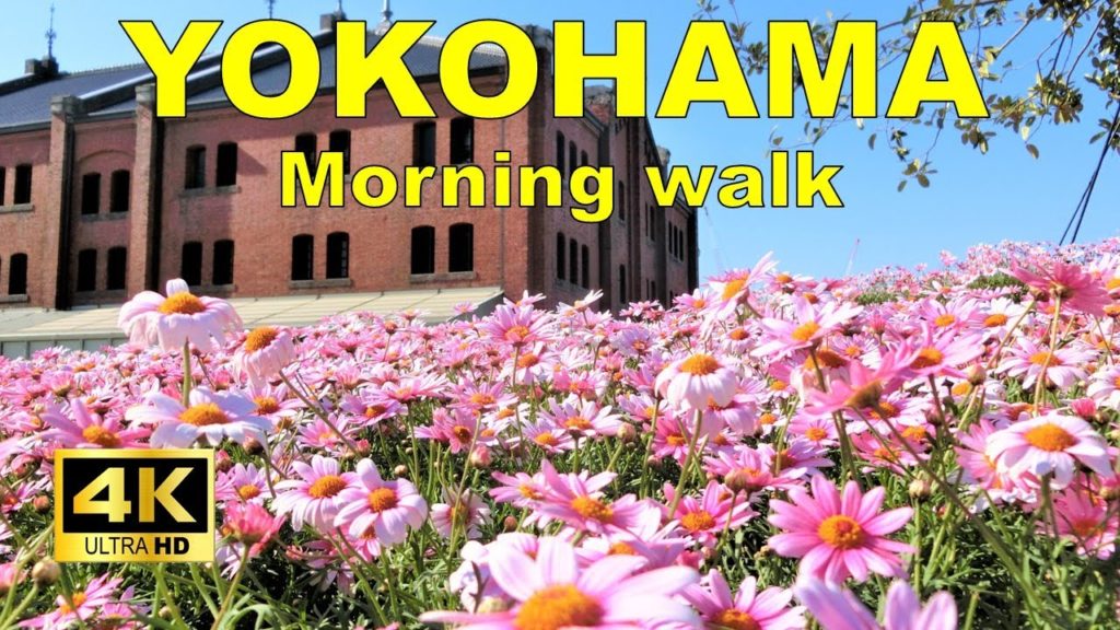 【4K】Yokohama Walking Tour - Red Brick Warehouse - Travel Guide with captions