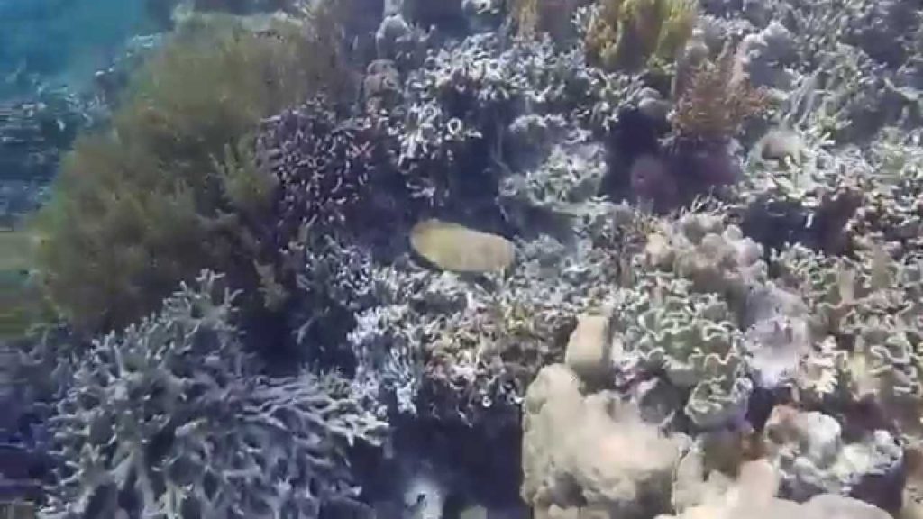 GoPro Hero4 | Vacation 2015 (Coron, Palawan)