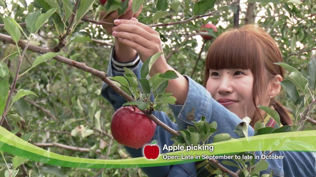 Hokkaido Fukagawa City【English】Short Ver.