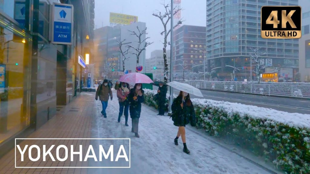 🇯🇵 1st HEAVY SNOWFALL in 4 years - IT'S SNOWING in YOKOHAMA - JAPAN - Let's walk together ⎡ 4K ⎦