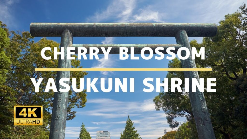 Yasukuni Shrine (Cherry Blossom) – 4K Virtual Walking Tour In Tokyo | Japan Travel Guide Yasukuni Shrine (Cherry Blossom) - 4K Virtual Walking Tour In Tokyo | Japan Travel Guide