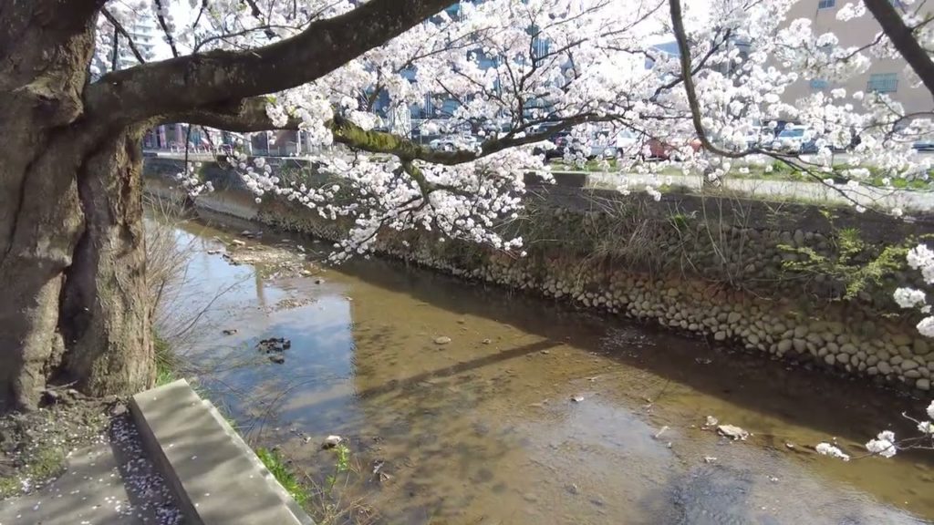 【4K HDR】Walk in NIIGATA Nagaoka (Fukuzumi) Neighborhood Walking Tour | 新潟長岡 2022 【4K HDR】Walk in NIIGATA Nagaoka (Fukuzumi) Neighborhood Walking Tour | 新潟長岡 2022