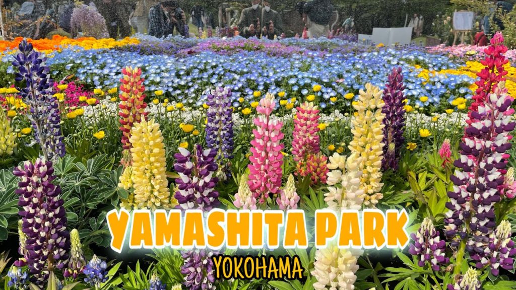 YAMASHITA PARK / GARDEN NECKLACE / YOKOHAMA, KANAGAWA