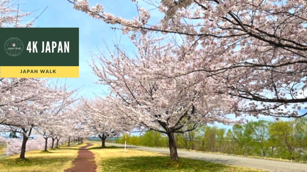 4K Japan Walk –  NIIGATA NAGAOKA Neighborhood Walking Tour | 新潟長岡 2022 4K Japan Walk -  NIIGATA NAGAOKA Neighborhood Walking Tour | 新潟長岡 2022
