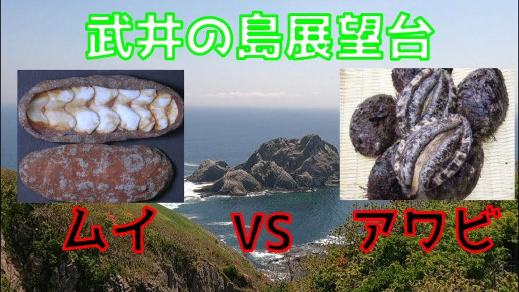 【函館観光】武井の島展望台 【マイナーな観光地】