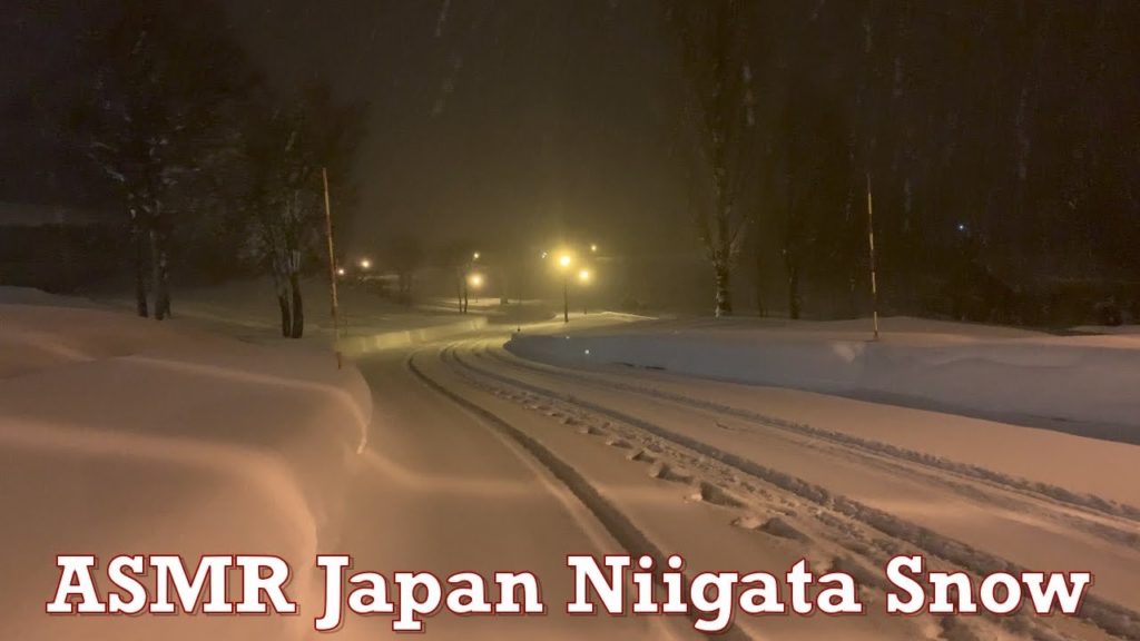 Japan Niigata Snow Walk Clip 2021.12.27 ASMR Ambience Sound Sleep Meditate Relax Ski Mountain Alps