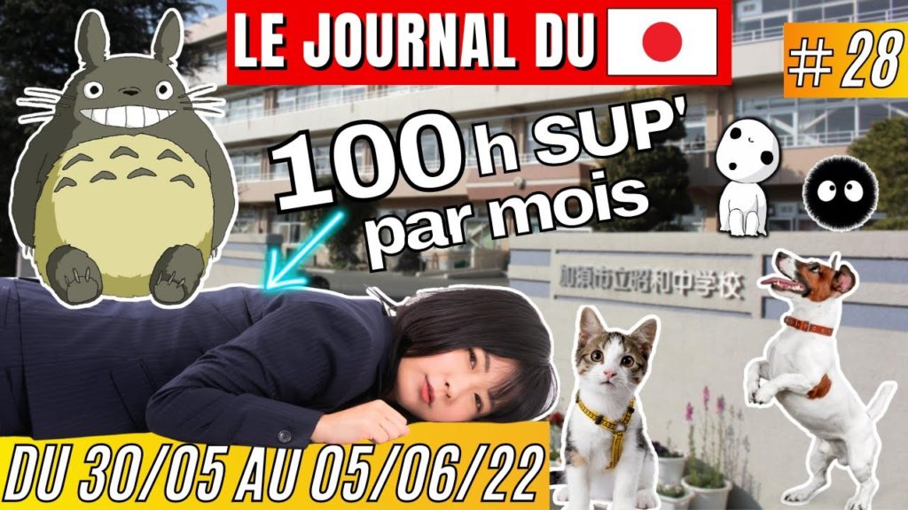 🇯🇵 L'actu du JAPON : Puces pour animaux, visas, règles scolaires, surmenage et parc Ghibli 🇯🇵 🇯🇵 L'actu du JAPON : Puces pour animaux, visas, règles scolaires, surmenage et parc Ghibli 🇯🇵