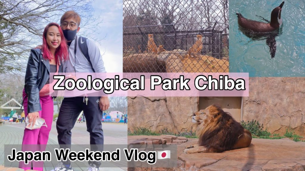 Japan Weekend Vlog: Zoological Park Chiba