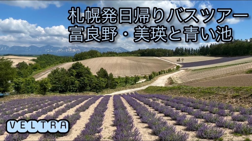 札幌発日帰りバスツアー 富良野・美瑛と青い池/Day trip bus tour from SapporoFurano / Biei and Blue Pond