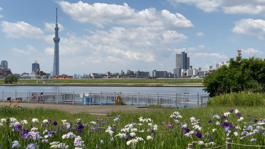 SkyTree and Iris Gardens