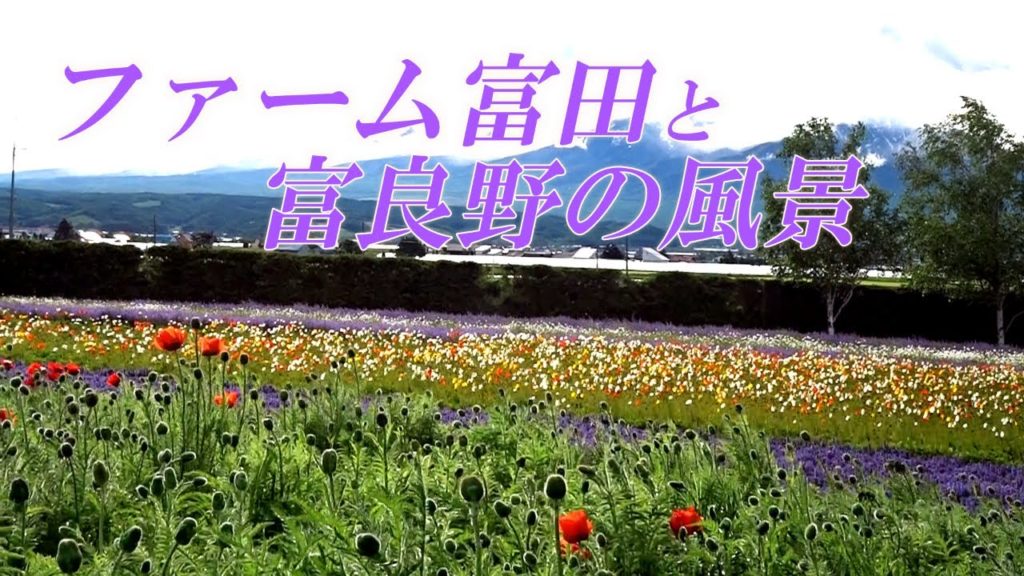 ファーム富田と中富良野町奈江地区の素敵な景観【北海道 富良野】