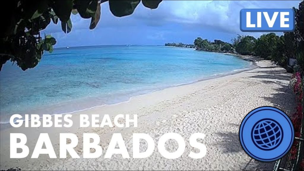 🌎 LIVE Cam: Gibbes Beach Barbados 5-31-2022