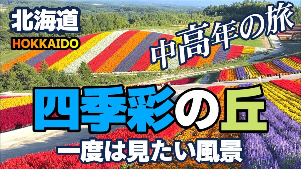 【北海道・四季彩の丘】伊丹から新千歳にANAで飛び、美瑛の「四季彩の丘」に行ってきました。一度は見たい風景、として近年大人気スポットです。夜は「新富良野プリンスホテル」に宿泊しました。併せてどうぞ。 【北海道・四季彩の丘】伊丹から新千歳にANAで飛び、美瑛の「四季彩の丘」に行ってきました。一度は見たい風景、として近年大人気スポットです。夜は「新富良野プリンスホテル」に宿泊しました。併せてどうぞ。