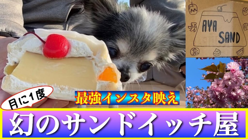 【札幌グルメ2022】月に1度の幻のサンドイッチ屋『AYASAND』 まさかこんなものをサンドイッチにするなんて❗️❗️😵 満開の桜と暮れゆく札幌の街並みを見ながら食べる絶品スイーツサンド 【札幌グルメ2022】月に1度の幻のサンドイッチ屋『AYASAND』 まさかこんなものをサンドイッチにするなんて❗️❗️😵 満開の桜と暮れゆく札幌の街並みを見ながら食べる絶品スイーツサンド